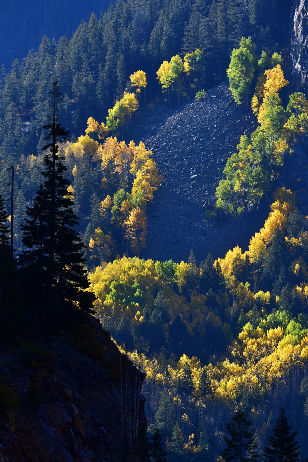 100619-news-aspens 10.JPG